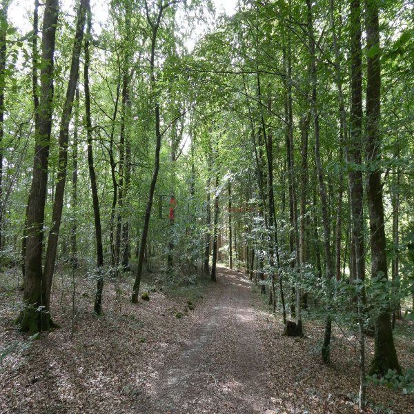 Offres de vente Maison Tourouvre 61190